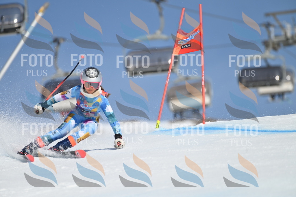 BGV_8681 | holidayphoto