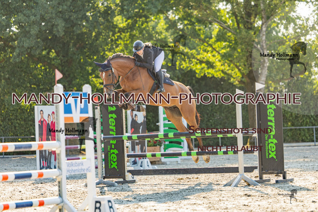 26-7-25 Amateur SPR A++-245 | mandyhollmannphotographie