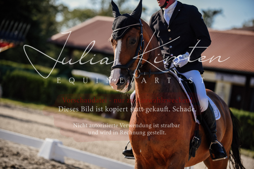 DSC_0619 | Pferde- und Turnierfotografie in Westsachsen. Pferdeportraits, Auftragszeichnungen und intuitive Kunst.