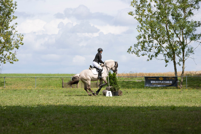 IMG_9251 | normansfotografie - Realisiert mit Pictrs.com