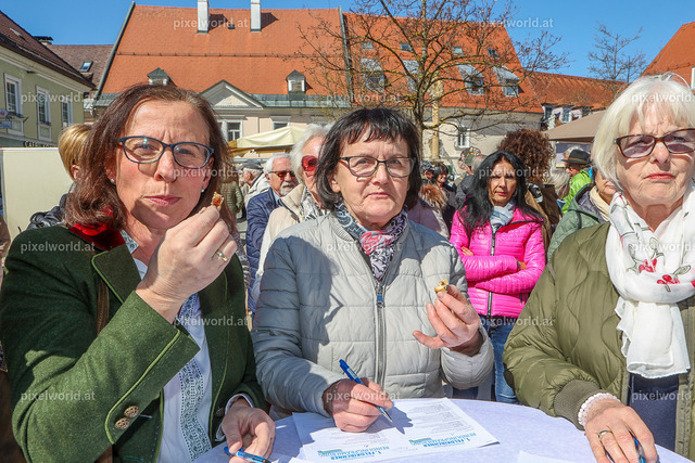 Reindlingprämierung am Hauptplatz in Feldkirchen | Bildershop von pixelworld.at - Realisiert mit Pictrs.com