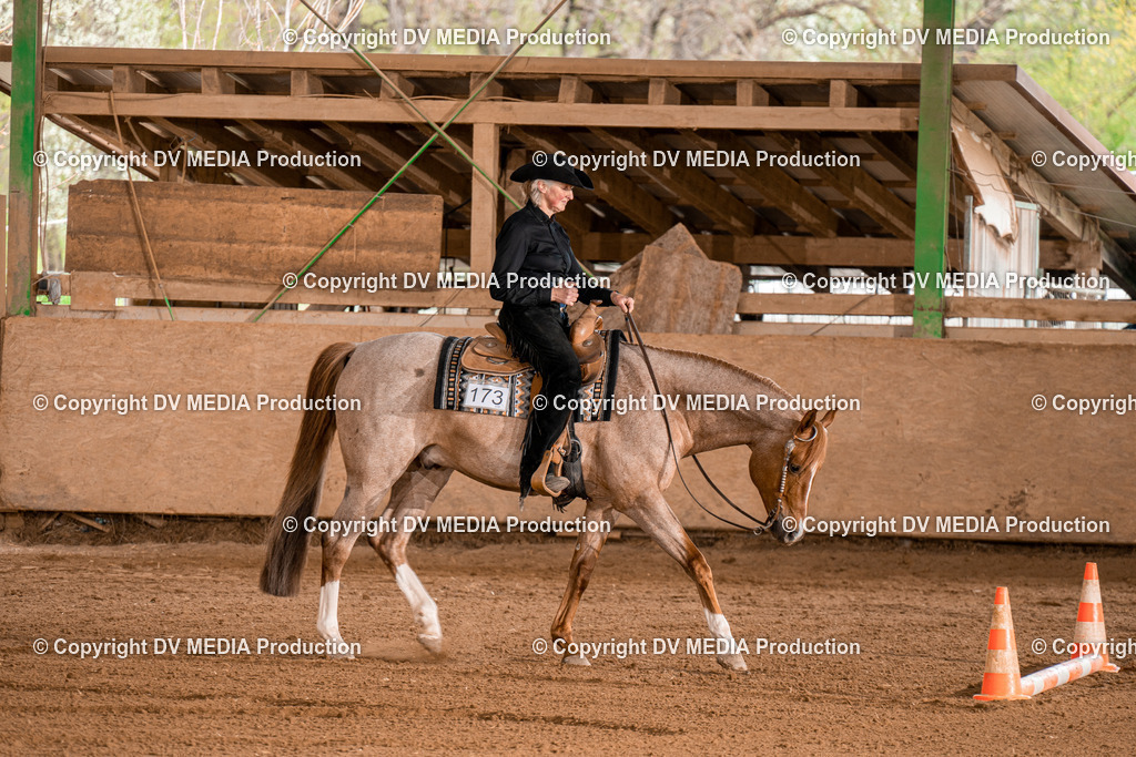 BA300866 | dv-media-shop - Realisiert mit Pictrs.com