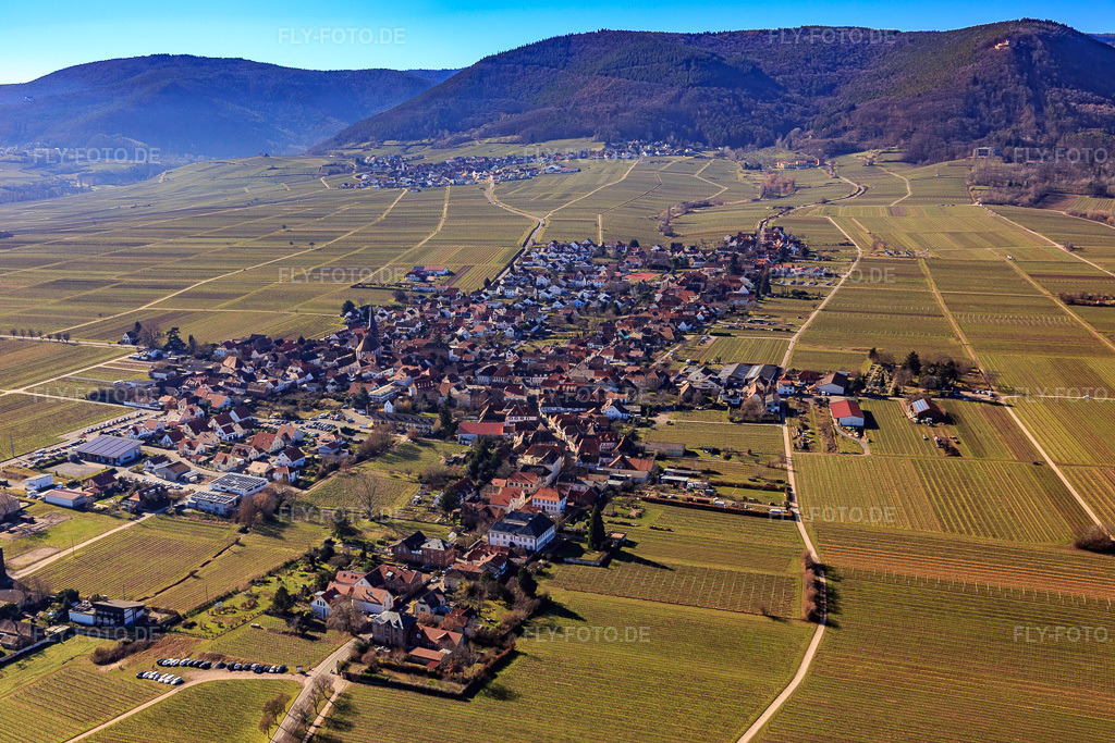 Luftbild: Ortsansicht von Nordosten in Rhodt unter Rietburg im Bundesland Rheinland-Pfalz in Deutschland. Foto: IMG_125310.jpg vom 21.02.2021 durch Werner Riehm/FLY-FOTO.de