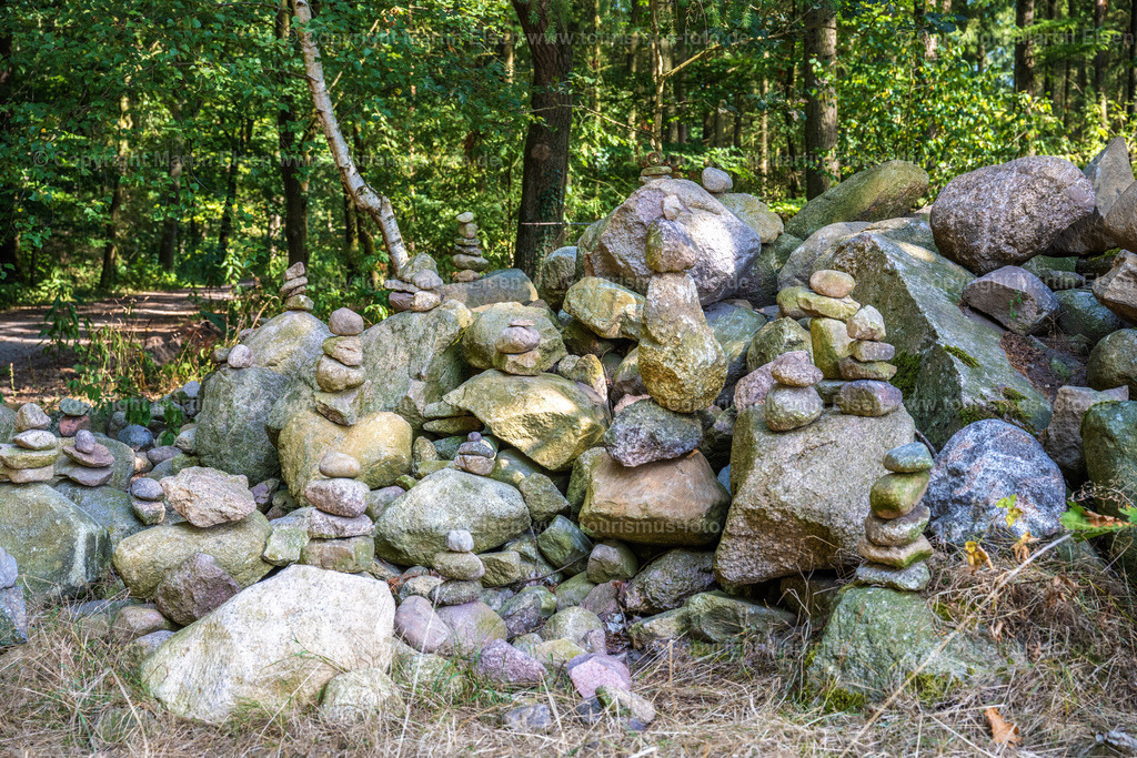 Harsefeld Auetal_ELS_1639040922 | Fotos aus den Touristenorten aus Norddeutschland. - Realisiert mit Pictrs.com