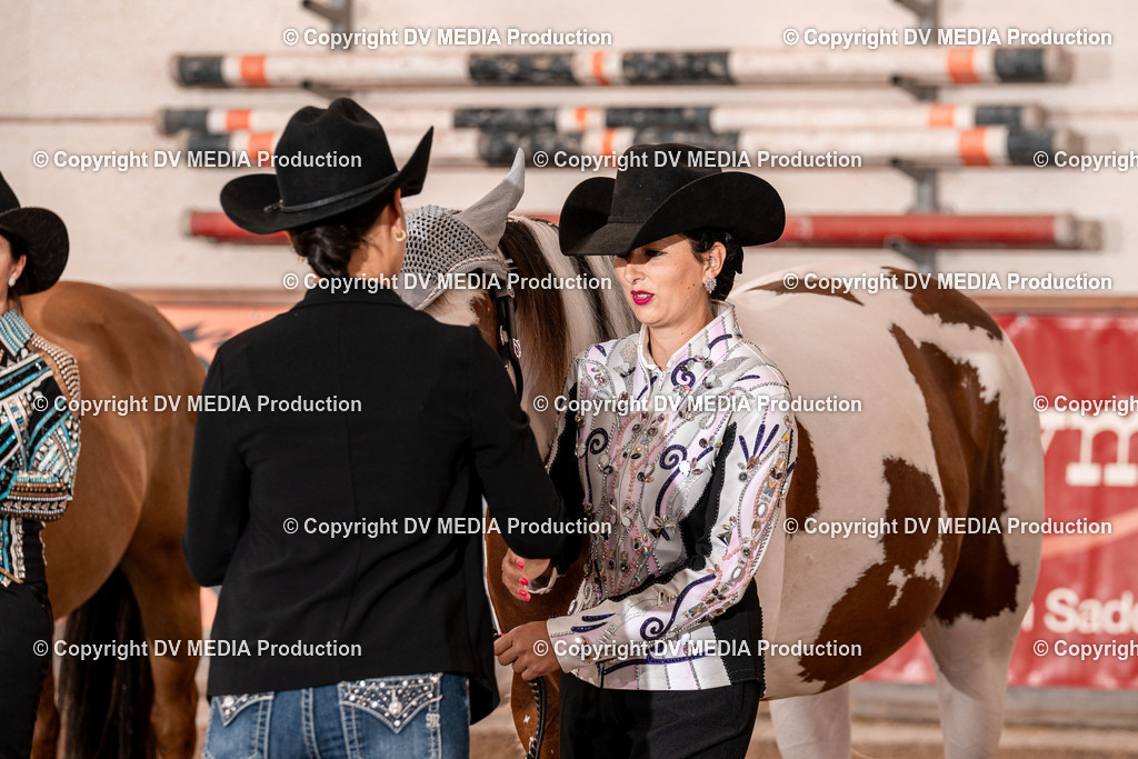 LM Heiligenwald Tag 1-389 | dv-media-shop - Realisiert mit Pictrs.com