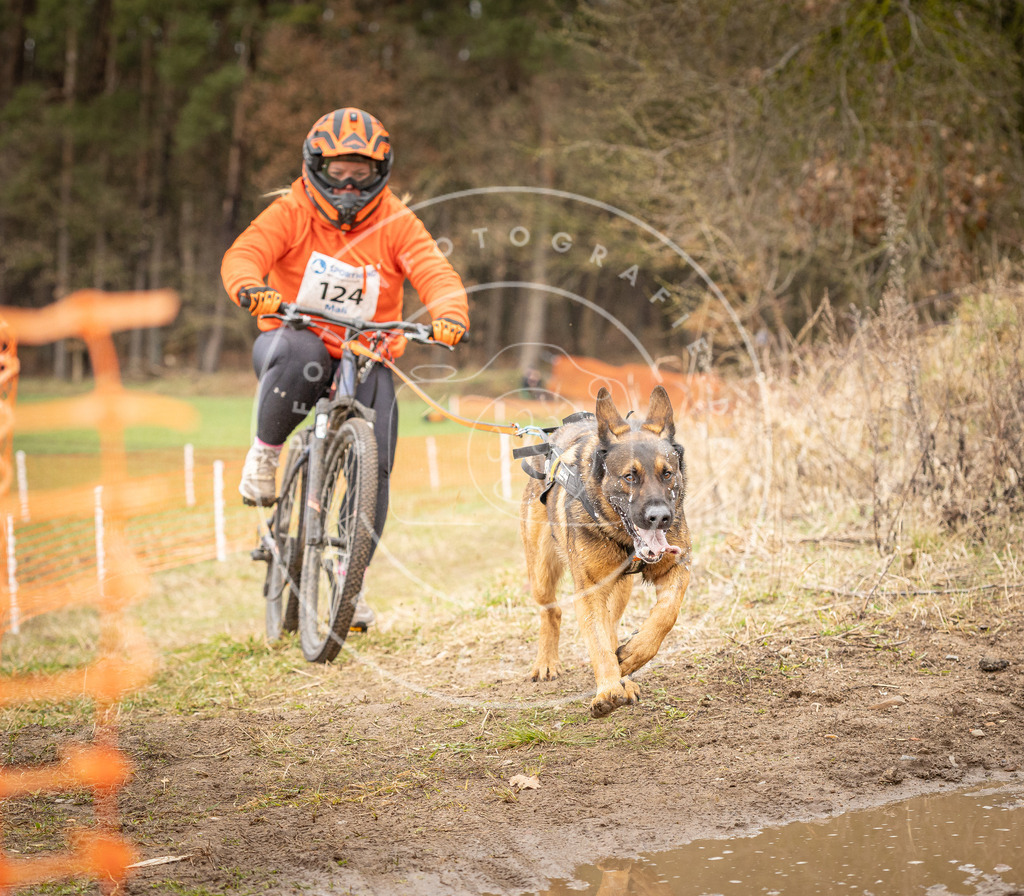 DV3A1152 | Hundefotografie, Tierfotograf, Pfotenfotografie, Fotoshooting Hund, Hunde Portrait, Hundesport, Hundeportraits, Heideshooting, Hunde, Sportfotograf, Hundefotograf, Turnierhundsport, THS,  - Realisiert mit Pictrs.com