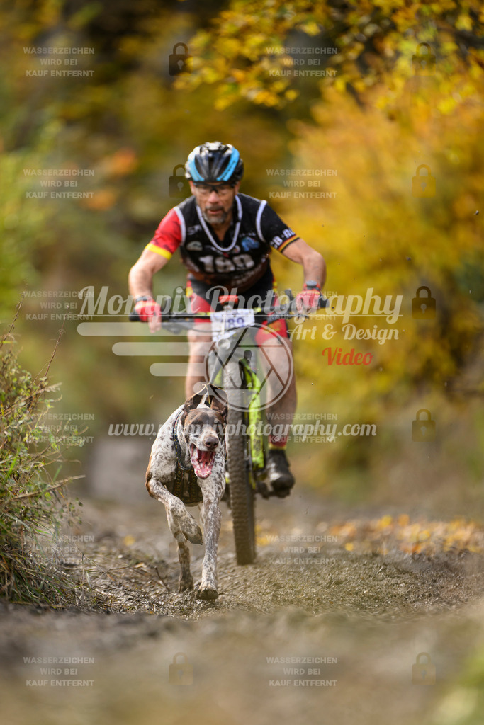 MompixPhotography_ICF_WC_2024_SA_Bike_-276 | PayLife