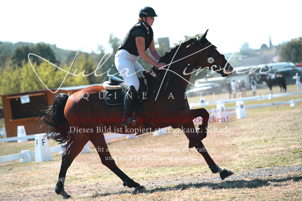 DSC_8134 | Pferde- und Turnierfotografie in Westsachsen. Pferdeportraits, Auftragszeichnungen und intuitive Kunst.