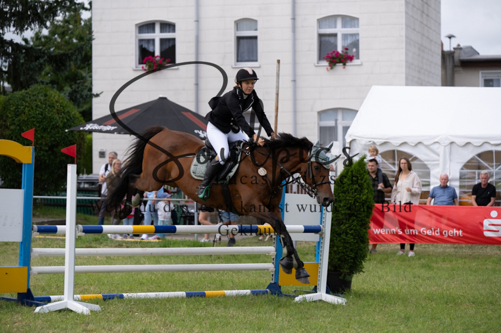 A7V05385 | Turnier/Reitfotograf