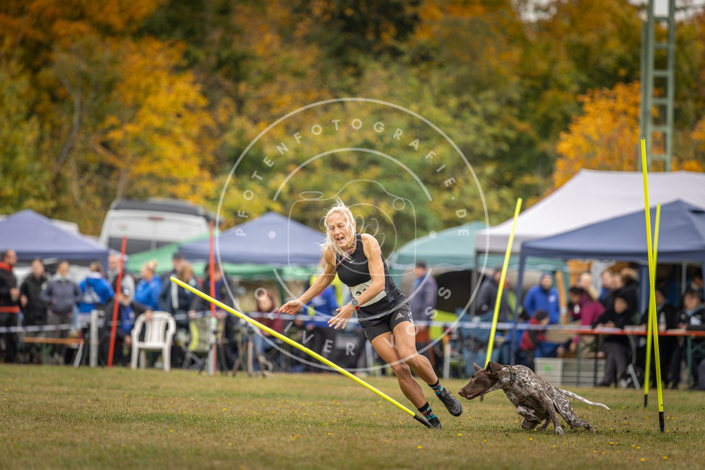 Pfotenfotografie_DV3A4189 | Hundefotografie, Tierfotograf, Pfotenfotografie, Fotoshooting Hund, Hunde Portrait, Hundesport, Hundeportraits, Heideshooting, Hunde, Sportfotograf, Hundefotograf, Turnierhundsport, THS,  - Realisiert mit Pictrs.com