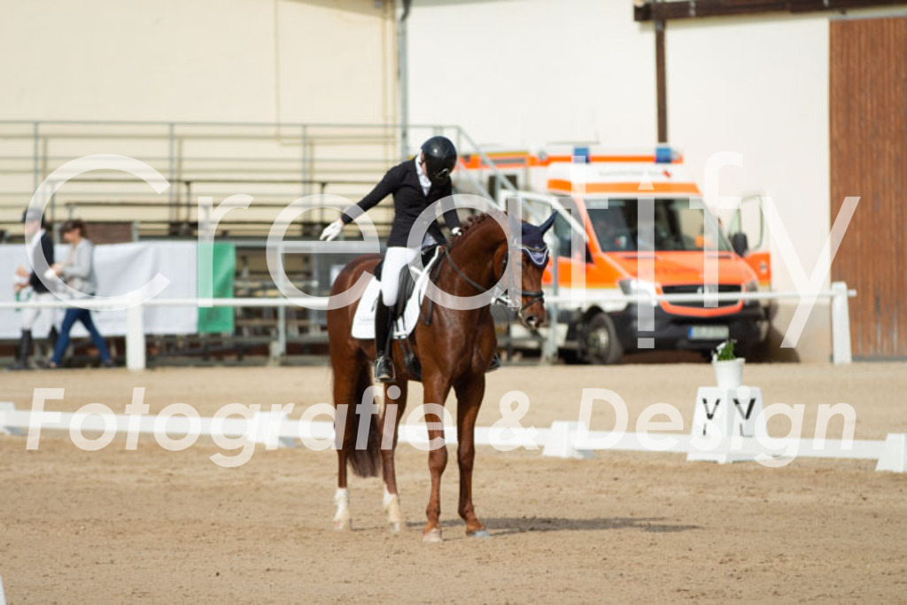 IMG_1022 | Creatify Fotografie