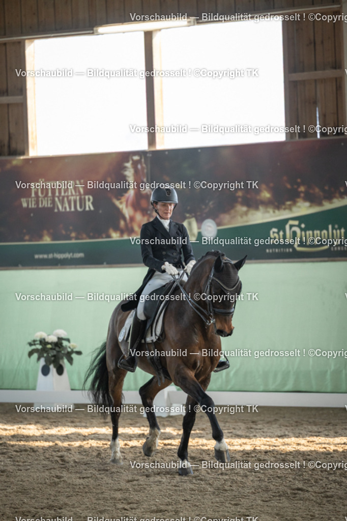 _D5A0713 | Emotionale Pferde- & People-Fotografie rund um Heidelberg, Leimen & Umgebung. Natürliche Fotos von Pferd, Mensch & Familie. Jetzt Termin sichern!