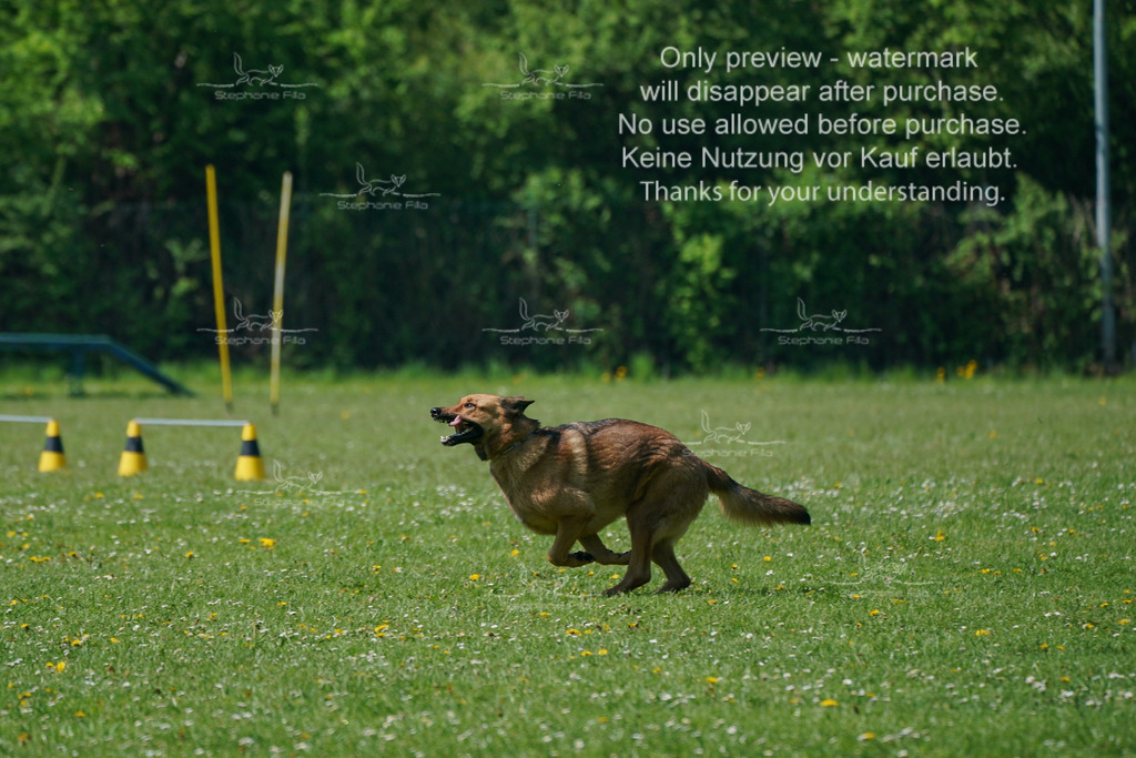 Sa_Gehorsam_Vormittag-158 | stephaniefillaphotographie - Realisiert mit Pictrs.com