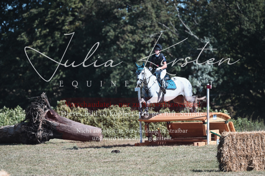 DSC_8463 | Pferde- und Turnierfotografie in Westsachsen. Pferdeportraits, Auftragszeichnungen und intuitive Kunst.