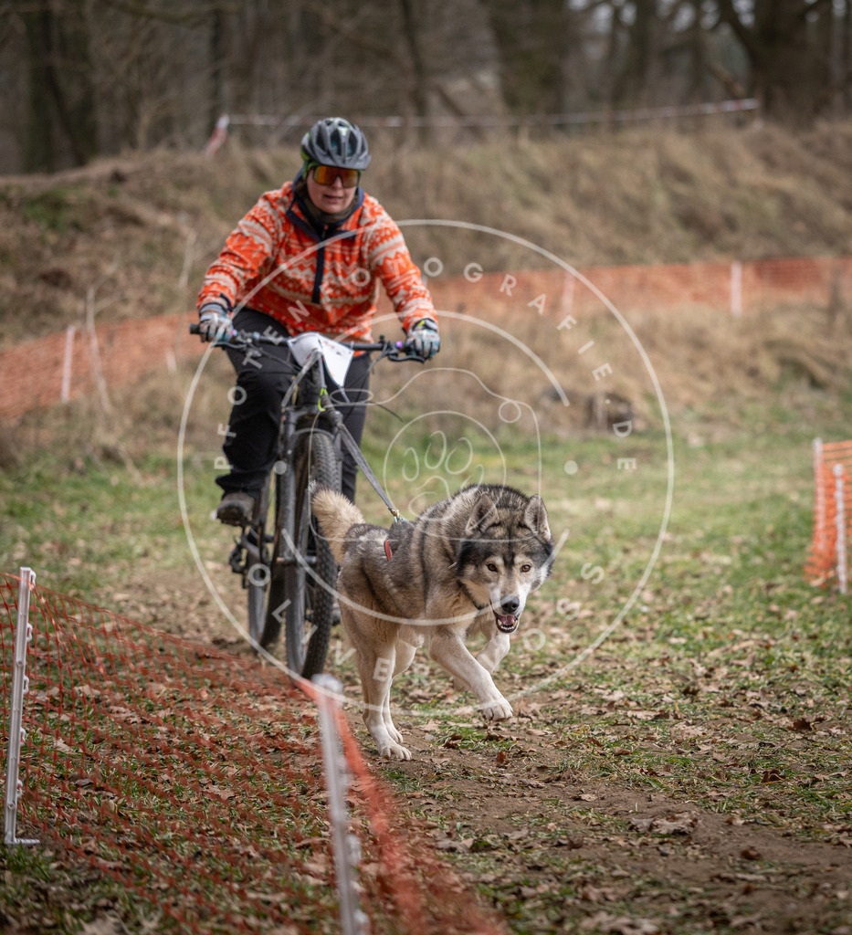Pfotenfotografie_DV3A6310 | Hundefotografie, Tierfotograf, Pfotenfotografie, Fotoshooting Hund, Hunde Portrait, Hundesport, Hundeportraits, Heideshooting, Hunde, Sportfotograf, Hundefotograf, Turnierhundsport, THS,  - Realisiert mit Pictrs.com