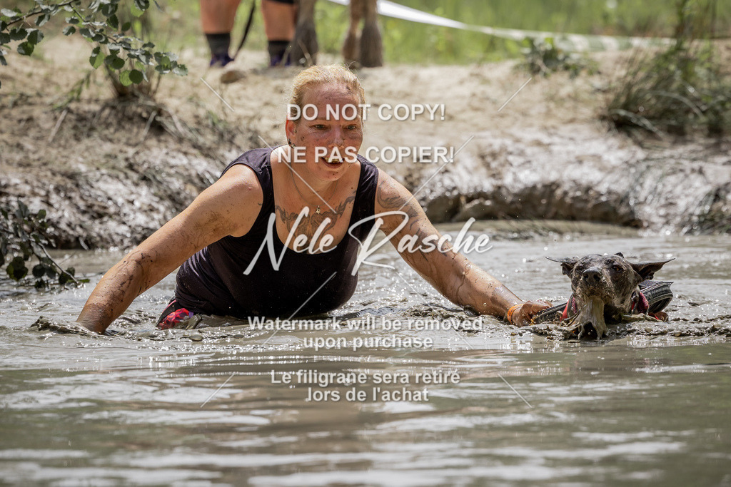 nelerasche_so1300-1330_329 | nelerasche
