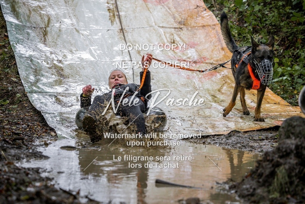 nelerasche_Hunsrück_Sa1300-1400_258-final | nelerasche