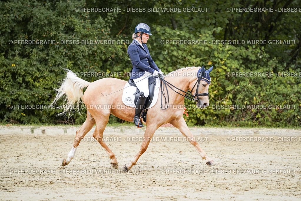 DSC04809 | Pferdegrafie