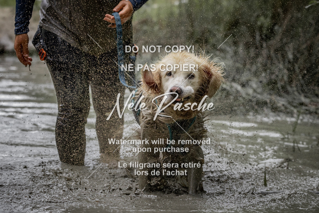 nelerasche_so0800-0930_476 | nelerasche