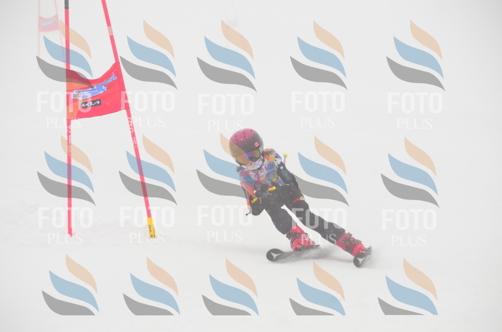 C1293 | holidayphoto