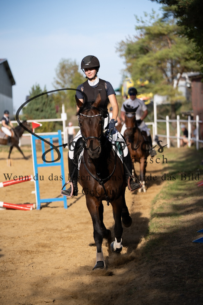 A7V02773 | Pferdefotograf