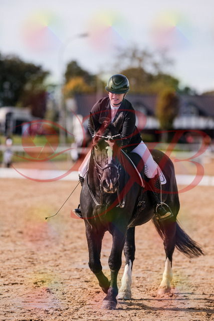 2026_10_03_Siefer-Hof_131954_Z81_70719212 | Professionelle Reitsport-, Turnier- und Eventfotografie von Robert Broda. Galerien mit ausgewählten und bearbeiteten Bildern direkt online ansehen und bestellen.
