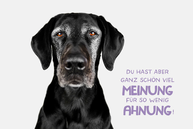 Emmys Meinung | "Du hast aber ganz schön viel Meinung für so wenig Ahnung!"