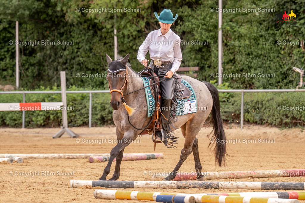 LMS07671 | BS-foto