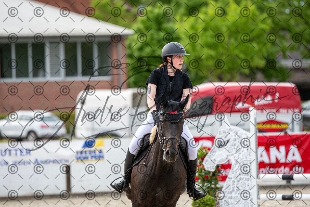 KPT_6870 | andre_photographic