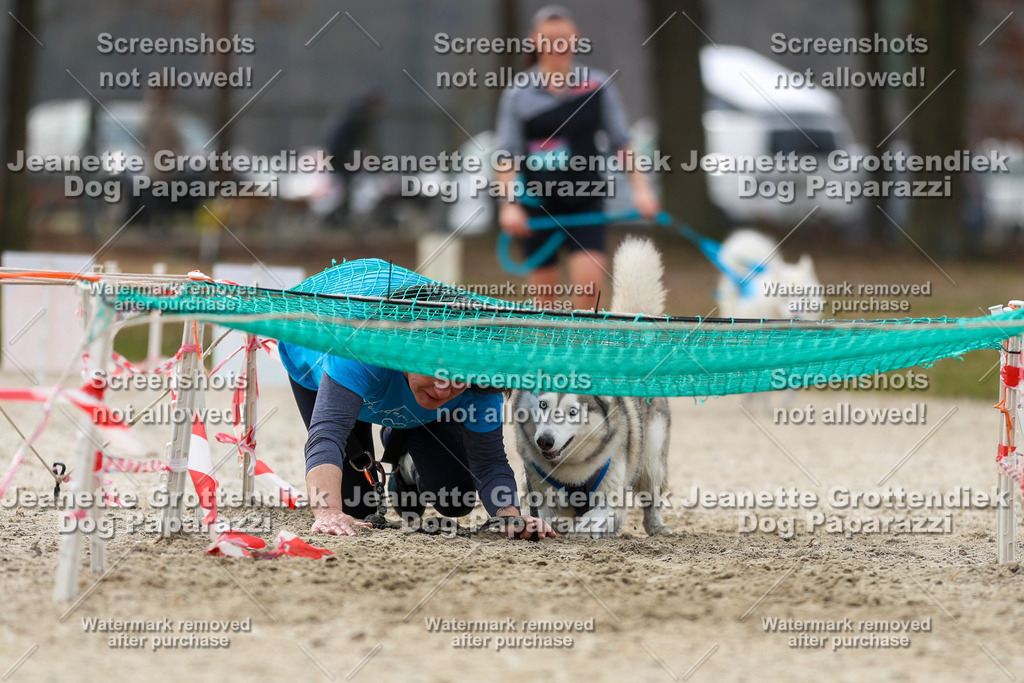 Dog Paparazzi - Strongdog North Mrz26-5674 | Dog Paparazzi Jeanette Grottendiek Fotografie & Videografie - Realisiert mit Pictrs.com