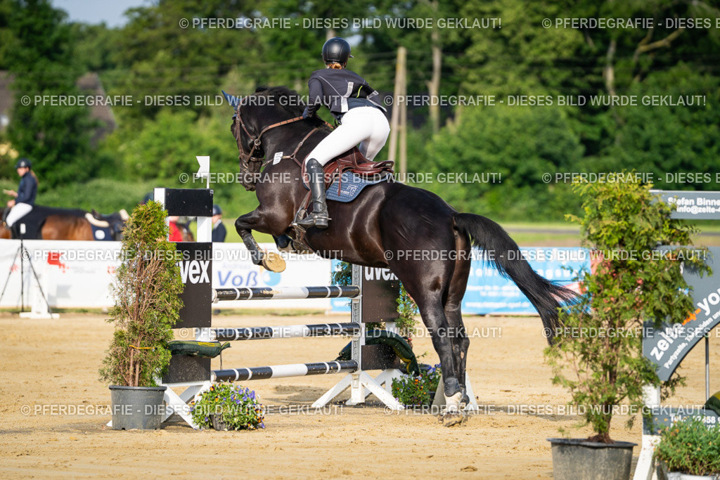 DSC02831 | Pferdegrafie