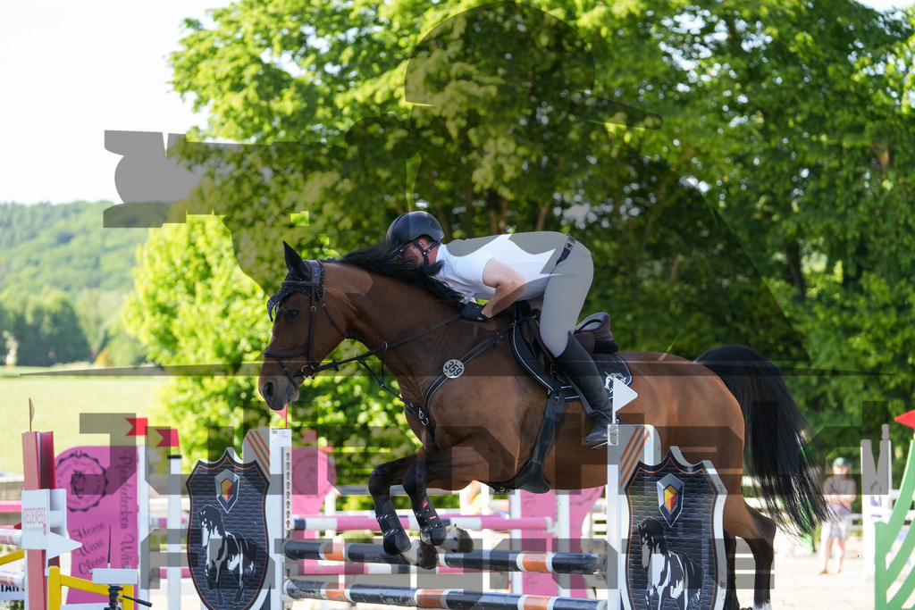 DSC02470 | Julian Held Fotografie - Realisiert mit Pictrs.com