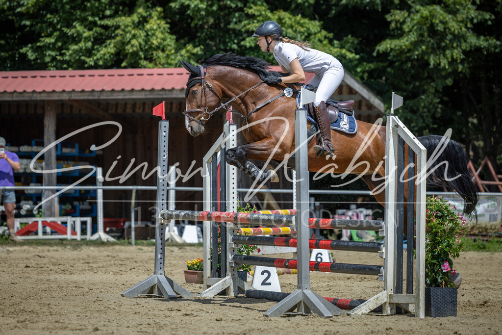 20260704-_3LI9831 | Tierfotografie Pferde, Hunde, Katzen, Haustiere.
Turnierfotografie Reitturniere, Reiten, Springreiten, Dressur in Hanau, dem Main-Kinzig-Kreis und dem Rhein-Main- Gebiet um Frankfurt