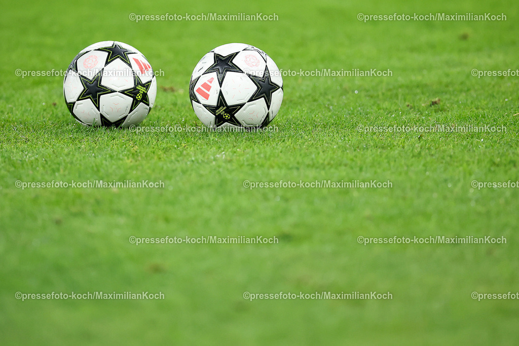 BVB01102402125 | 01.10.2024, Fußball, UEFA Champions League, Borussia Dortmund - Celtic Glasgow, 2. Spieltag, Signal Iduna Park, Saison 2024 2025: Offizieller Spielball liegt auf dem Spielfeld Copyspace