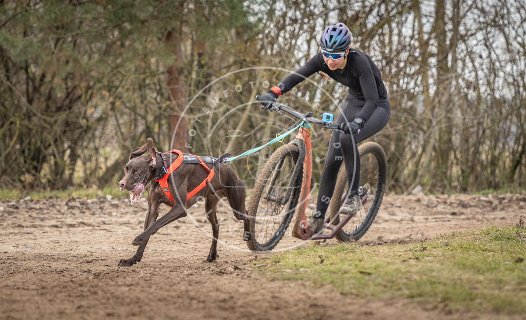 Pfotenfotografie_DV3A9013 | Hundefotografie, Tierfotograf, Pfotenfotografie, Fotoshooting Hund, Hunde Portrait, Hundesport, Hundeportraits, Heideshooting, Hunde, Sportfotograf, Hundefotograf, Turnierhundsport, THS,  - Realisiert mit Pictrs.com