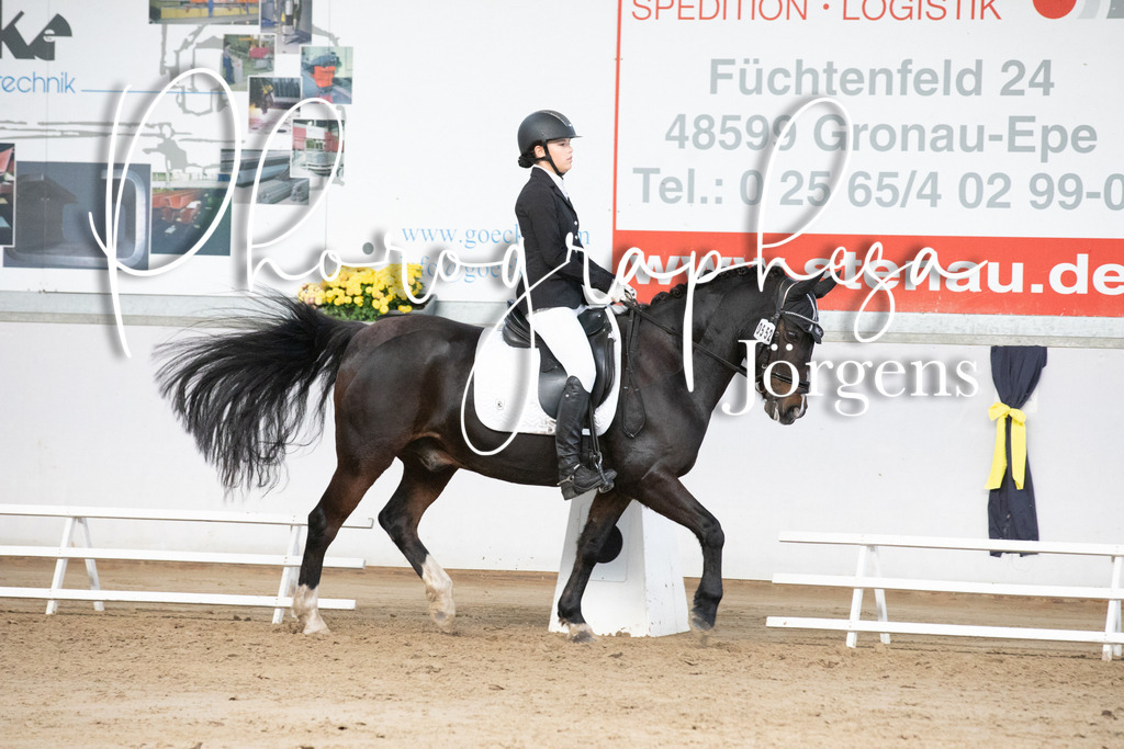 IMG_6055 | photographesa-joergens - Realisiert mit Pictrs.com