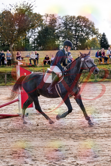 2026_10_03_Siefer-Hof_144849_Z81_26534730 | Professionelle Reitsport-, Turnier- und Eventfotografie von Robert Broda. Galerien mit ausgewählten und bearbeiteten Bildern direkt online ansehen und bestellen.