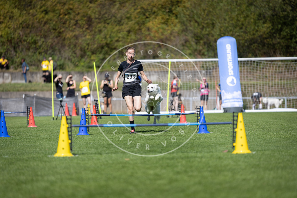 Pfotenfotografie_DV3A7536 | Hundefotografie, Tierfotograf, Pfotenfotografie, Fotoshooting Hund, Hunde Portrait, Hundesport, Hundeportraits, Heideshooting, Hunde, Sportfotograf, Hundefotograf, Turnierhundsport, THS,  - Realisiert mit Pictrs.com