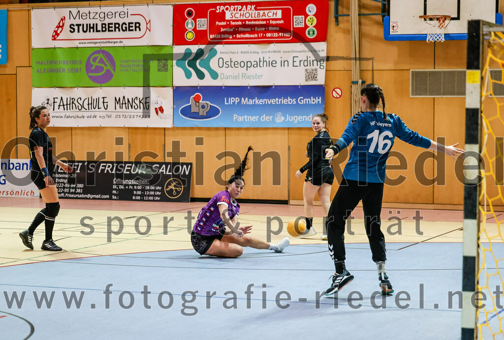 2023-12-17_026_SpVgg_Altenerding_II_gegen_HF_Scheyern | Erding, Deutschland, 17.12.2023:
Handball, Bezirksliga Frauen Altbayern 2023 / 2024, 9. Spieltag, SpVgg Altenerding II gegen HF Scheyern, Endergebnis: 22:26

Michelle Gruber (SpVgg Altenerding, #7), Torfrau Karolin Kollmar (HF Scheyern, #16)

Foto: Christian Riedel / fotografie-riedel.net