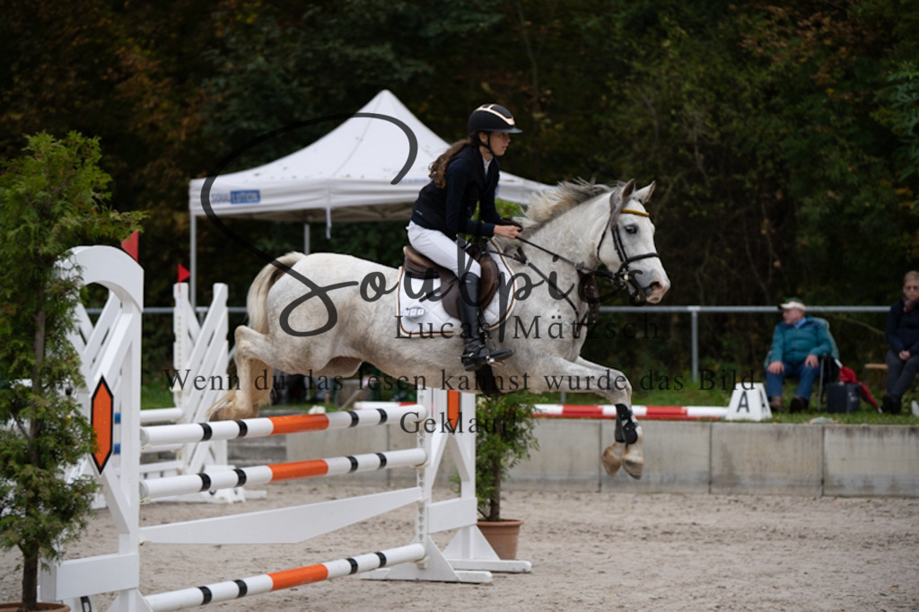 A7V00056 | Turnier/Reitfotograf