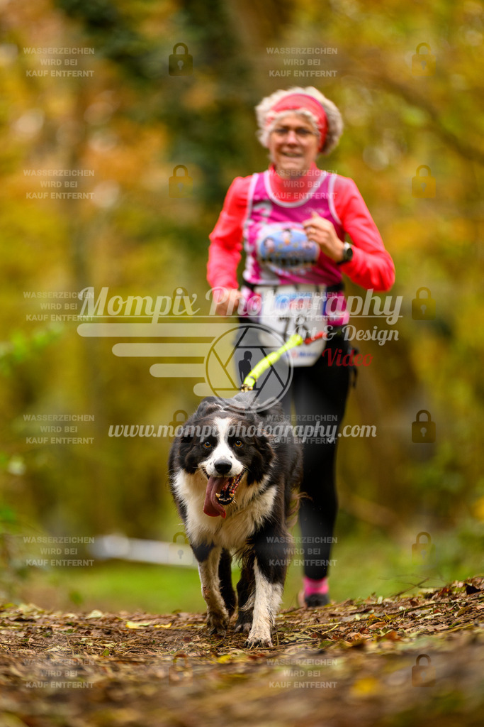 MompixPhotography_Bischwiller24_SA_Canicross-140 | PayLife