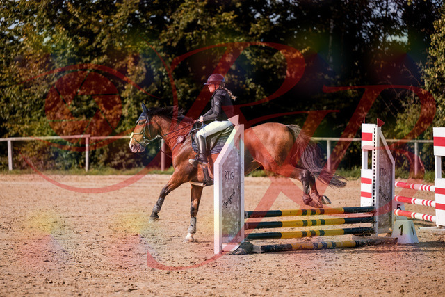 2026_10_03_Siefer-Hof_154625_Z81_64940560 | Professionelle Reitsport-, Turnier- und Eventfotografie von Robert Broda. Galerien mit ausgewählten und bearbeiteten Bildern direkt online ansehen und bestellen.