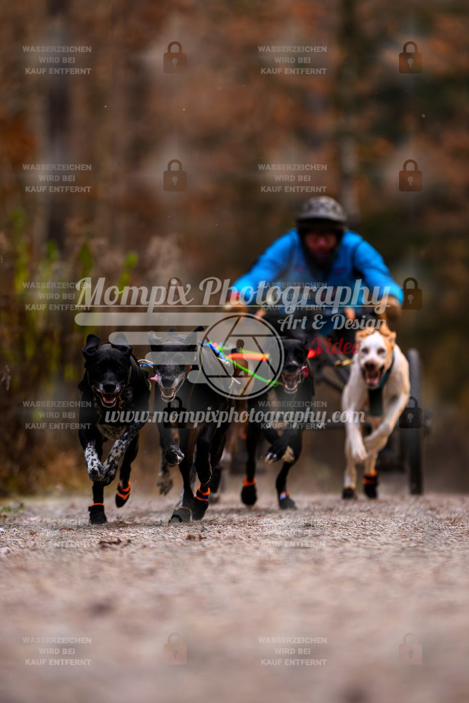 MompixPhotography_DM_AKDM_SO_2025_Wagen-15 | PayLife