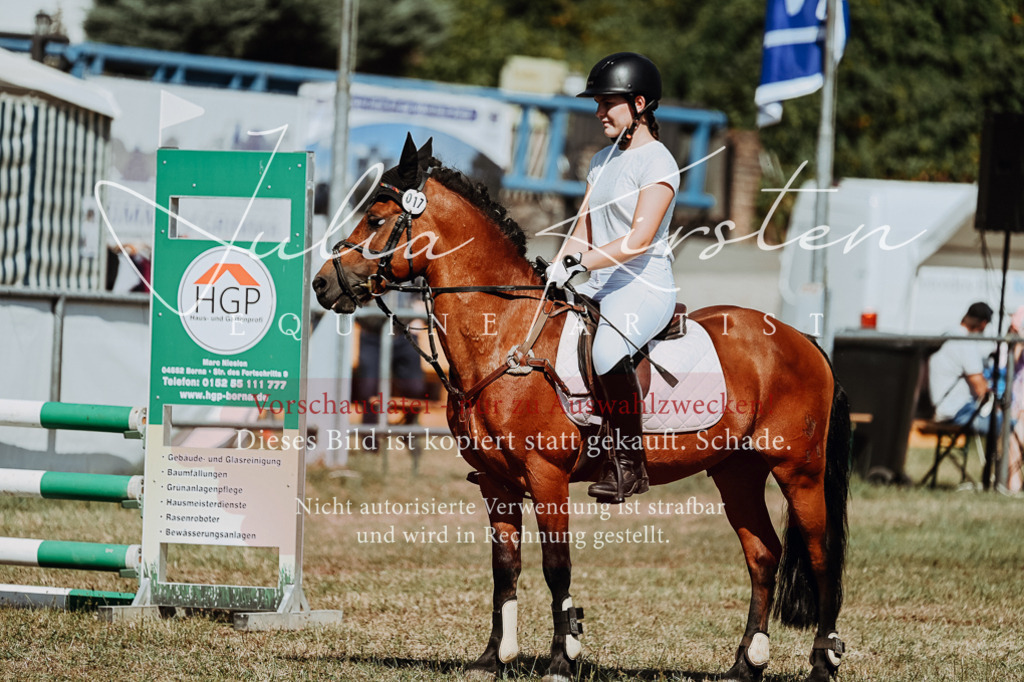 DSC_9945 | Pferde- und Turnierfotografie in Westsachsen. Pferdeportraits, Auftragszeichnungen und intuitive Kunst.
