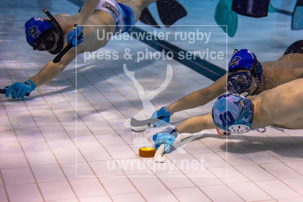 Unterwasser-Hockey: Rückrunde Liga 2023/2024 - Bild 1 | München 2 in blau gegen München 1 in weiß, beide bayerischen Mannschaften gehören zum Unterwasserhockey München e.V. - Realisiert mit Pictrs.com