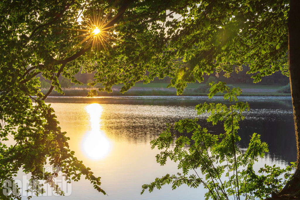 Sonnenuntergang am Holzmühle-Weiher bei Immenried | Sonnenuntergang am Holzmühle-Weiher bei Immenried. Das warme Licht der untergehenden Sonne taucht den Weiher in eine besonders stimmungsvolle Atmosphäre. - Realisiert mit Pictrs.com