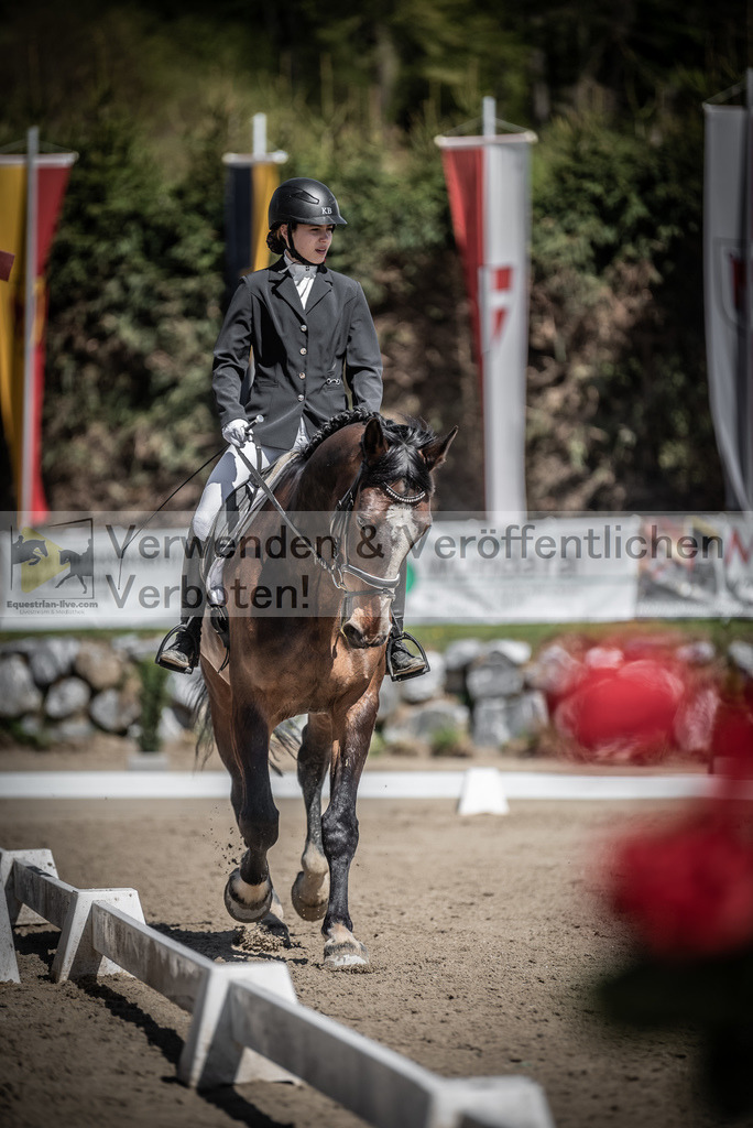 DSC_0287 | equestrian-live-com