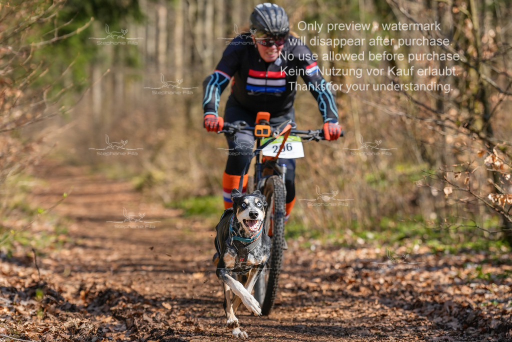 Bike_kurz_So-40 | stephaniefillaphotographie - Realisiert mit Pictrs.com