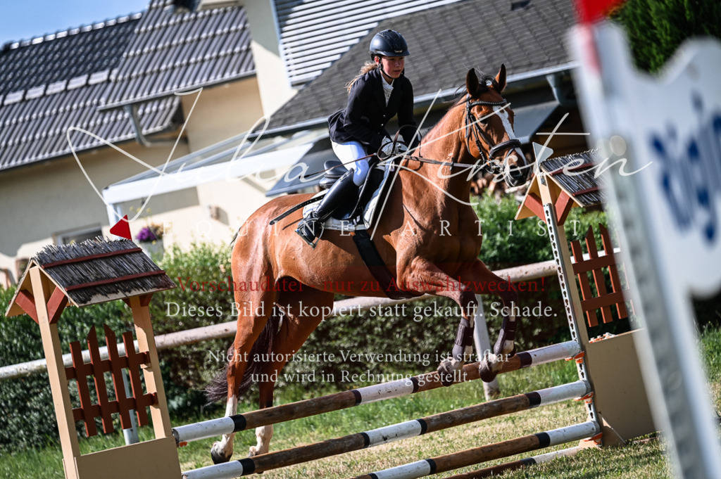DSC_7703 | Pferde- und Turnierfotografie in Westsachsen. Pferdeportraits, Auftragszeichnungen und intuitive Kunst.