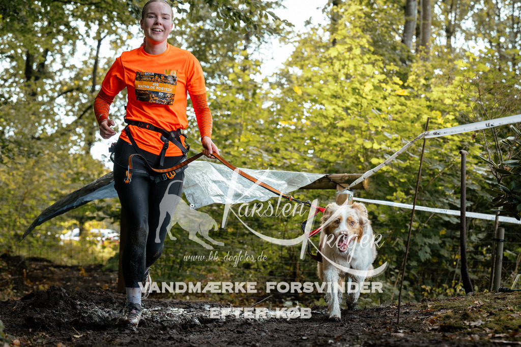 1415DZ6_1385Z6 | kk-dogfotos